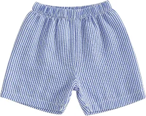 Toddler Kids Baby Boy Girl Gingham Seersucker Shorts Elastic Waist Striped Shorts Summer Casual Short Pants Bottoms